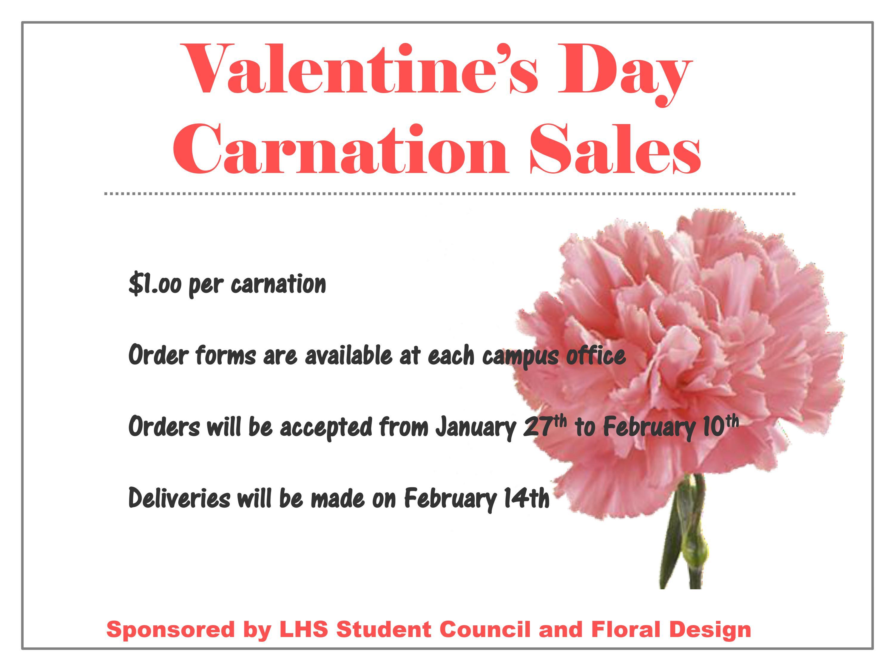 Carnation Sales Flyer